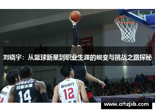 刘晓宇：从篮球新星到职业生涯的蜕变与挑战之路探秘
