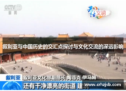 叙利亚与中国历史的交汇点探讨与文化交流的深远影响