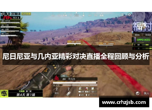 尼日尼亚与几内亚精彩对决直播全程回顾与分析