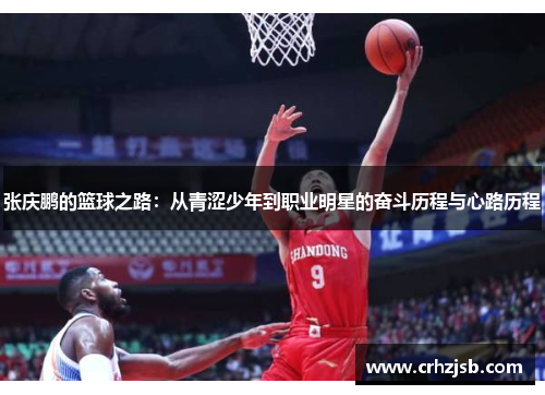张庆鹏的篮球之路：从青涩少年到职业明星的奋斗历程与心路历程